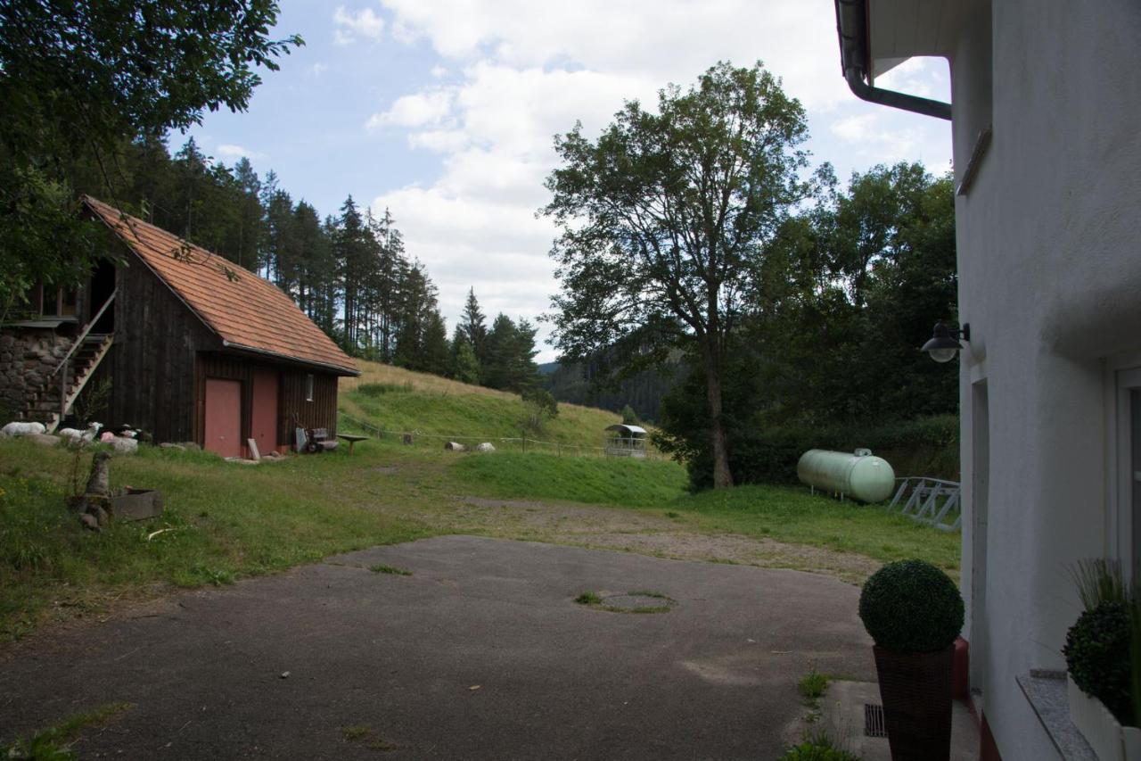 Zur Alten Oele - Hochwertig Und Familienfreundlich Lenzkirch Zewnętrze zdjęcie